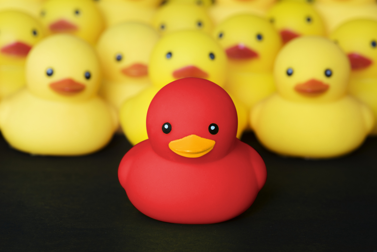 Closeup of rubber duckies