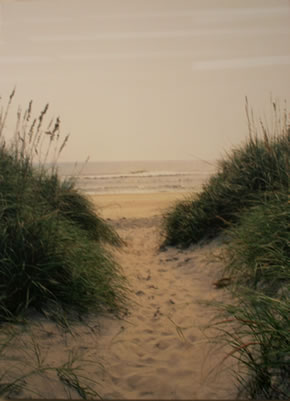 Image of sand way leading to beach